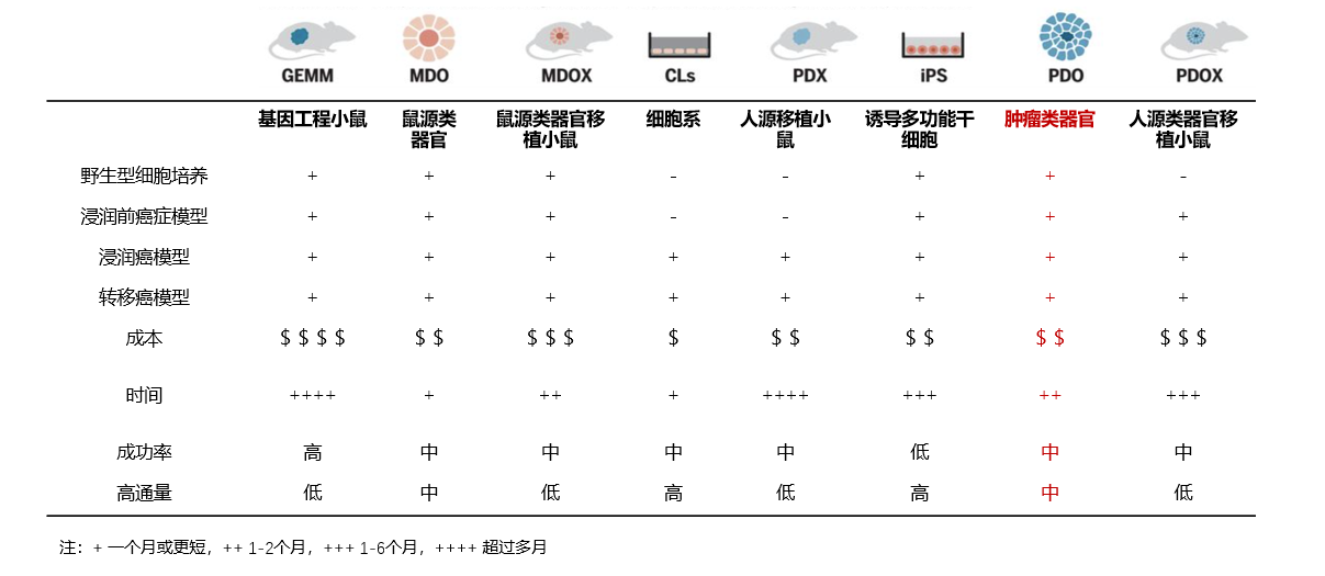 WPS图片(1)